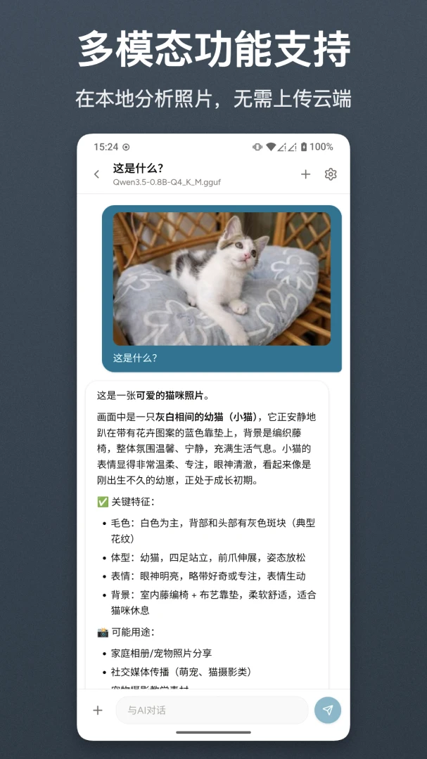清鸽LocalAI2.0 人工智能助手