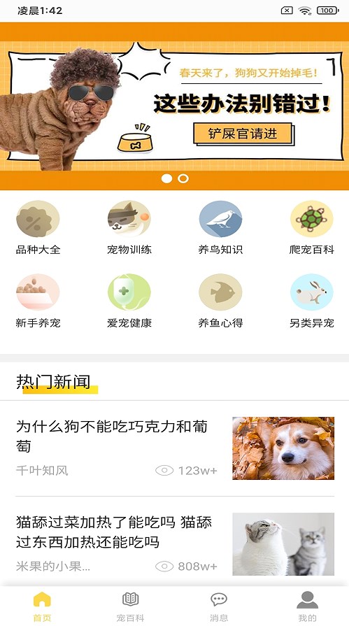 ���Ŷ����������app����