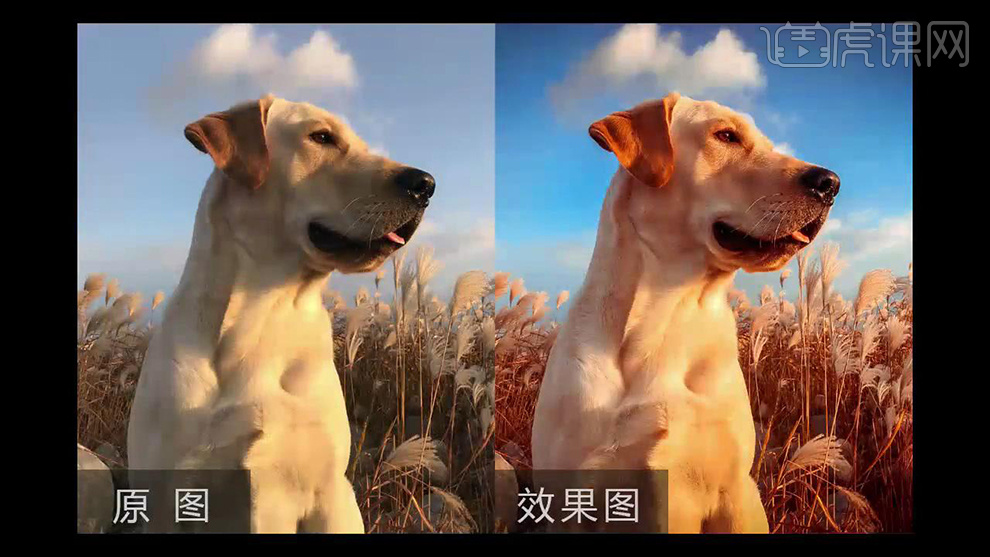 FotoOpt 照片优化大师 安卓版 优化前后对比图