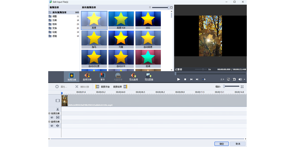 AVS Video Converter 软件界面 功能展示