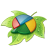 �þ������Ա�����װ��CSS��Ч����������{package_version_name} ����װ����Ч����