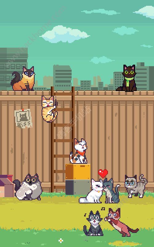CatsJump安卓游戏下载 CatsJump安卓游戏下载