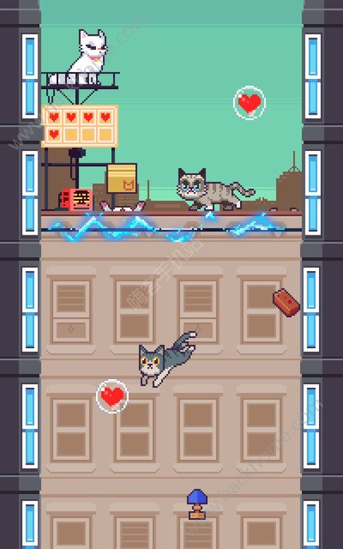 CatsJump安卓游戏下载 CatsJump安卓游戏下载