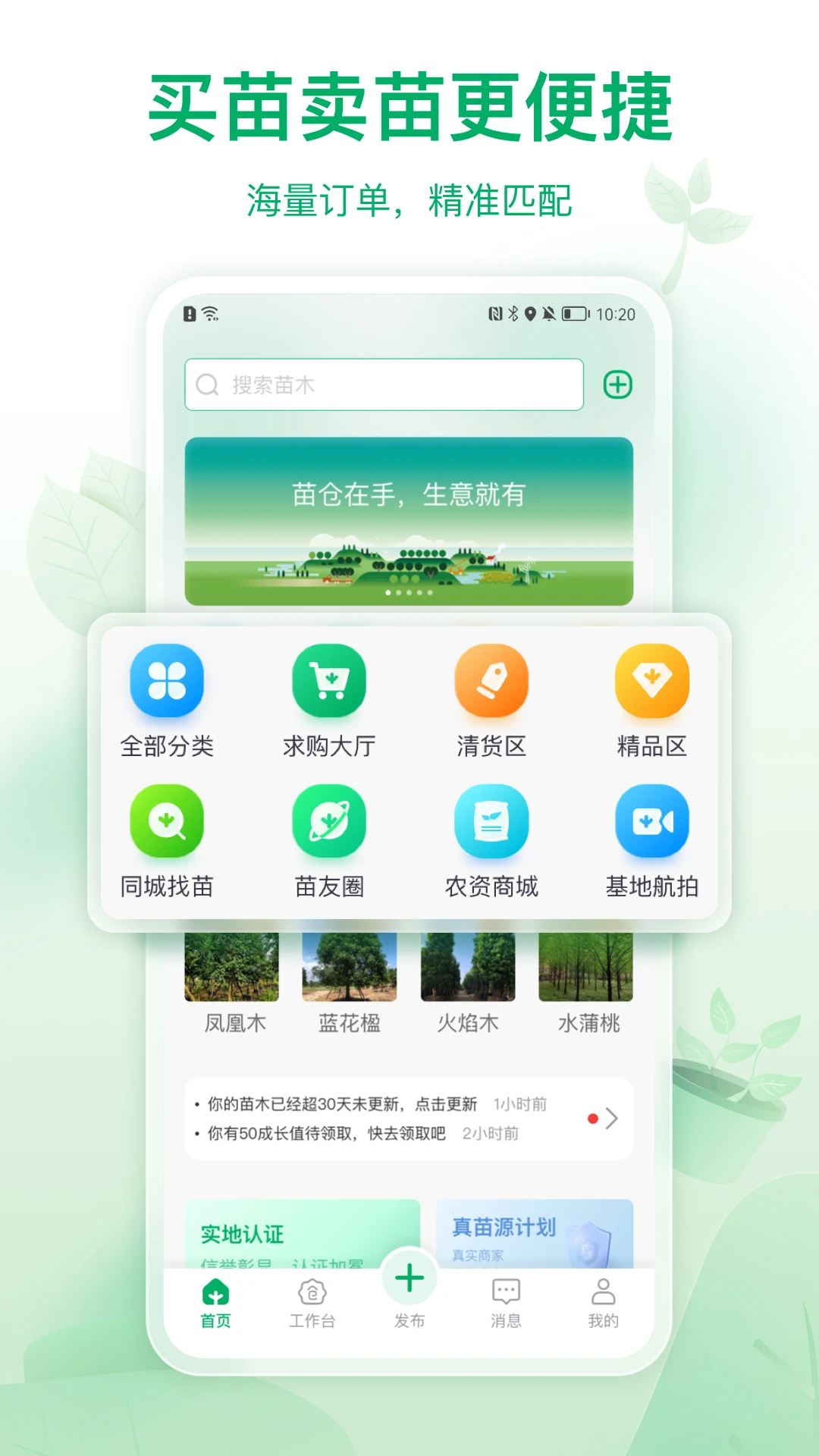 苗仓4.26.0 苗木库存管理