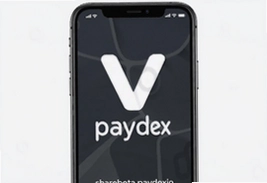 �°�V֧��paydex���ذ�װ�̳�