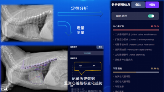 好兽医AI助手在线解答养殖难题 手机界面操作展示