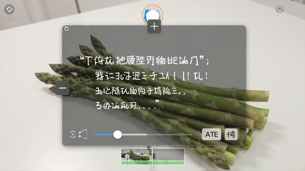 一张展示芦笋提词器悬浮提词窗口叠加在视频录制软件上方的图片,画面中提词窗口半透明显示文字,背景是相机预览画面,风格简洁直观,细节包含拖拽手柄、透明度滑块、字体大小调节按钮,画质清晰,干净,无多余元素
