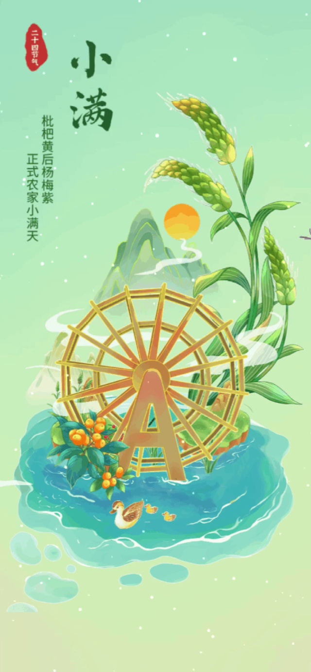 小满壁纸 安卓版 手机壁纸设置效果图