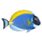 �������{package_version_name} ���涯̬��ֽ