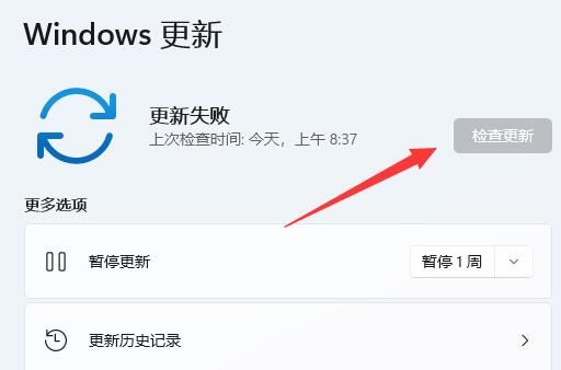 灾难袭击游戏官方版安装失败闪退解决办法示意图