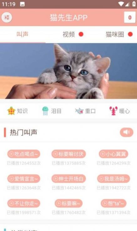 博猫管家app手机版下载 博猫管家app手机版下载
