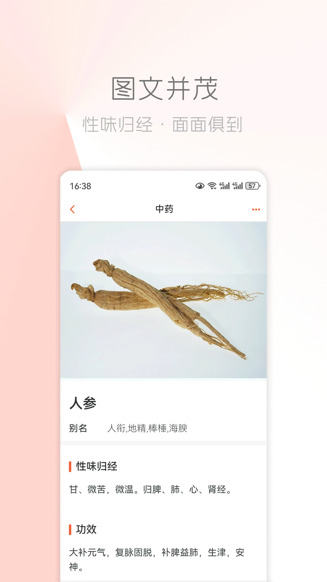 ��ҽ֮��1.91 ��ҽѧϰ����
