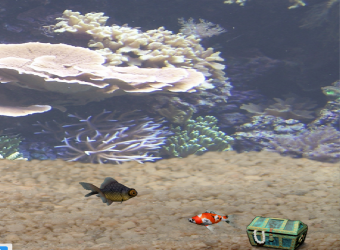 动态水族馆桌面 安装教程 界面截图