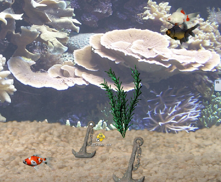 动态水族馆桌面{package_version_name} 桌面动态壁纸 动态水族馆桌面{package_version_name} 桌面动态壁纸