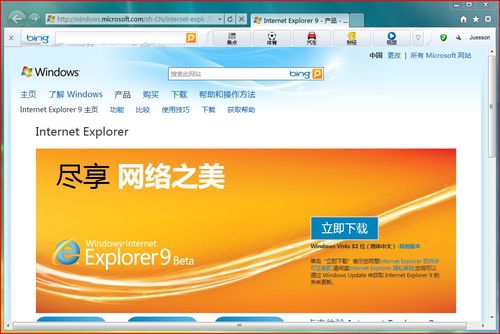 Internet Explorer 9 浏览器界面截图