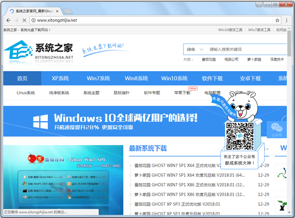 SRWare Iron 浏览器 安全 设置 截图