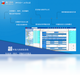 魔方网表magicflu报表统计图表配置界面截图