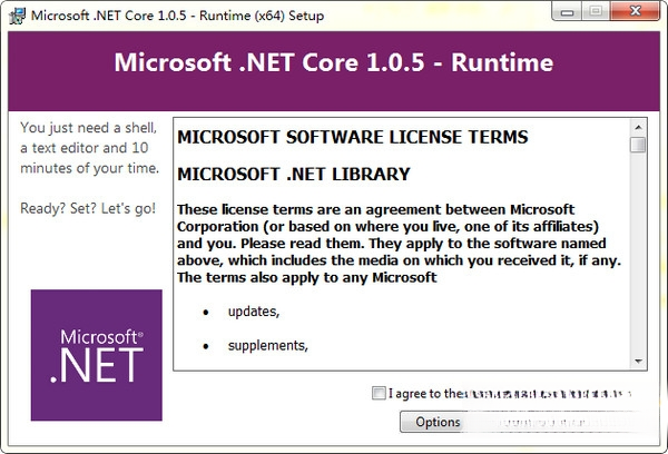 Microsoft .NET Core{package_version_name} ���л���