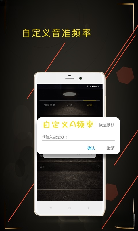 ������ʦTuner 3.2.1 רҵ��������