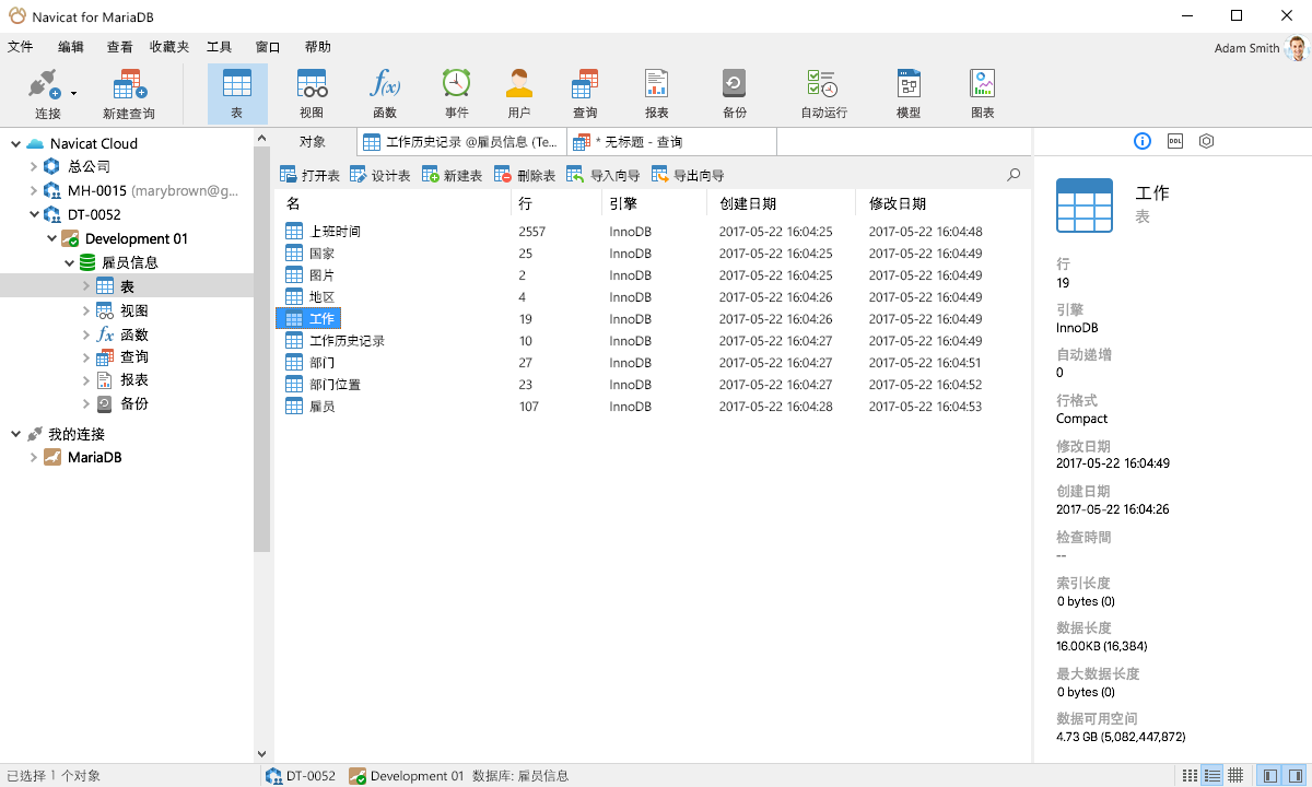Navicat for MariaDB 操作界面 预览图