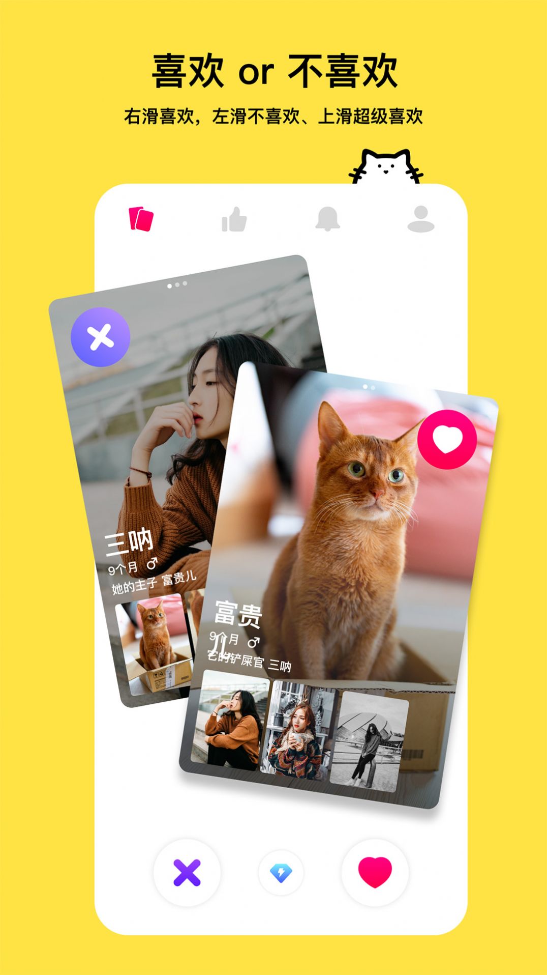 thinkpet APP�����������°�