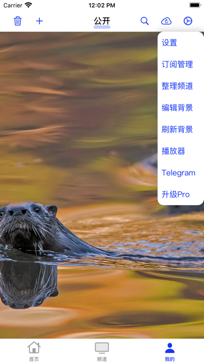 itelevision苹果版ios官方app下载 itelevision苹果版ios官方app下载