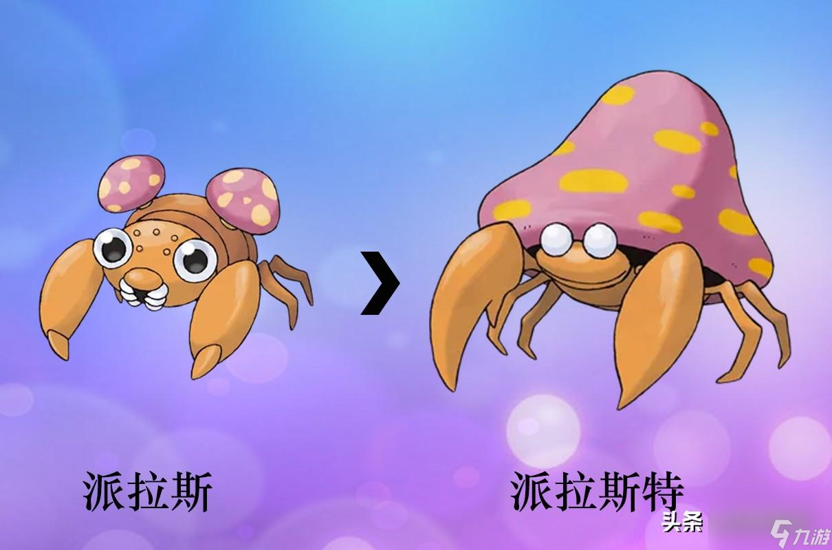 柴可里斯特 安卓版 使用界面