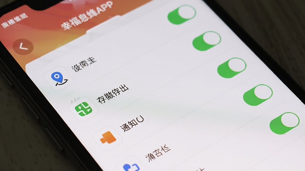 һ���ֻ���Ļ��ʾ�Ҹ�Ϣ��APP��Ȩ������ҳ�棬������Ȩ�޿����б�������Ϊ�������У������������ϸ�ڰ�����λ���洢��֪ͨ��Ȩ��ͼ���뿪��״̬�����ʸ���ɾ��޶���Ԫ��