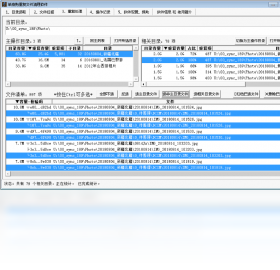 单身狗重复文件清理软件 安卓版 免费下载