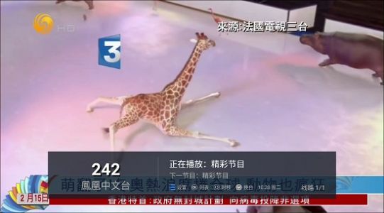 水星Tv电视盒子版最新版下载app 水星Tv电视盒子版最新版下载app