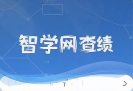 智学网查成绩下载入口及成绩单导出方法