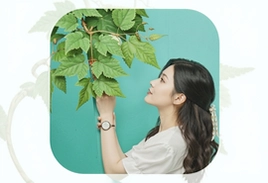 青藤之恋下载安装app手机版官方入口