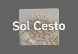 Sol Cesto 中文攻略与玩法解析