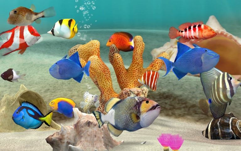 养鱼场3中文安卓版(Fish Farm 3) 养鱼场3中文安卓版(Fish Farm 3)