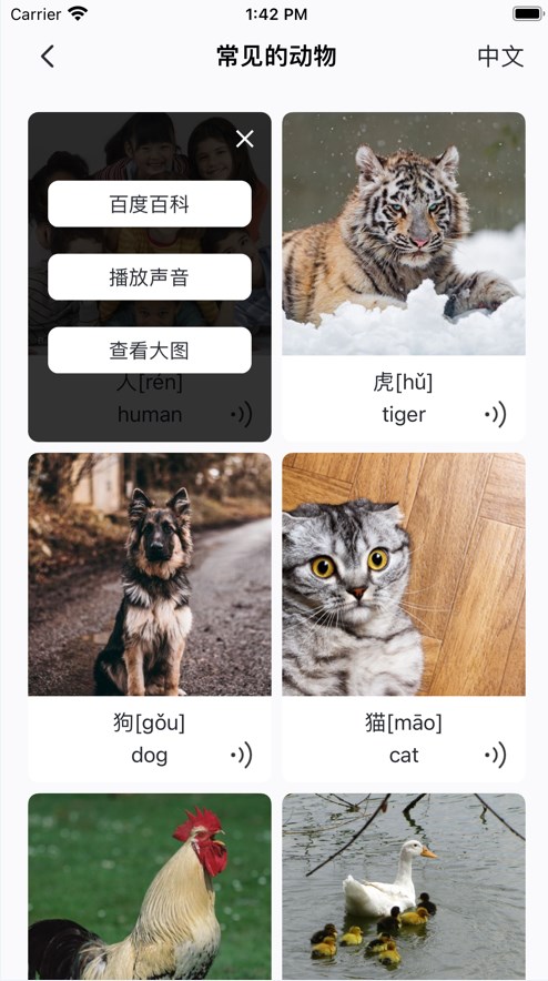 宝贝启蒙早教软件app下载 宝贝启蒙早教软件app下载