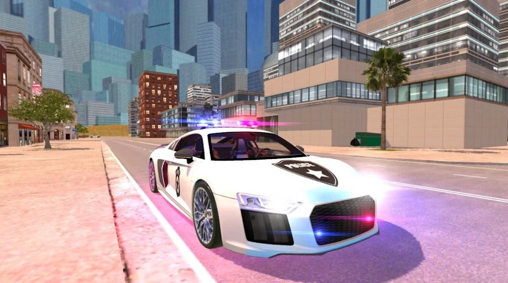R8警察模拟器游戏中文安卓版 R8警察模拟器游戏中文安卓版