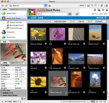 Adobe Bridge CS4 界面功能展示图