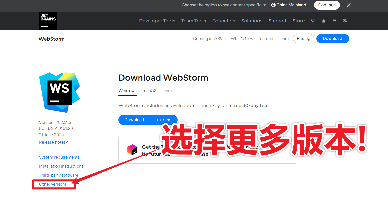 WebStorm新手高效开发技巧全攻略配图