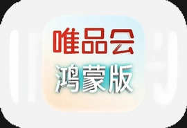 ΨƷ����ɰ�app���ذ�װָ��