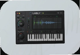 LABLY���������������Ž̳���ʵ�ü���