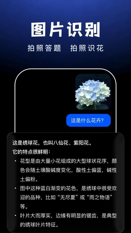 AI Agent助手1.2.1智能对话 AI Agent助手1.2.1智能对话