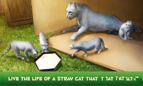 家猫模拟器3D中文安卓版(Home Cat Survival Simulator 3D) 家猫模拟器3D中文安卓版(Home Cat Survival Simulator 3D)