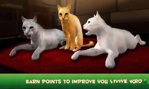 家猫模拟器3D中文安卓版(Home Cat Survival Simulator 3D) 家猫模拟器3D中文安卓版(Home Cat Survival Simulator 3D)