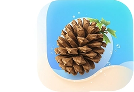 松果名师app官方下载安装最新版