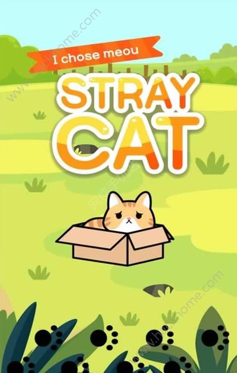 驯服流浪猫游戏最新版(Taming a stray cat) 驯服流浪猫游戏最新版(Taming a stray cat)