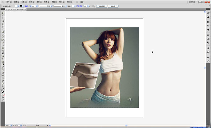 Adobe Illustrator CS5 AI CS5CS5 经典矢量绘图 Adobe Illustrator CS5 AI CS5CS5 经典矢量绘图