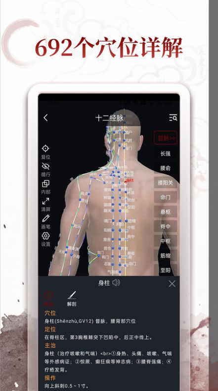 中医经络穴位学习软件下载 中医经络穴位学习软件下载