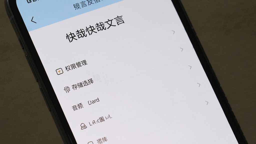 一部手机展示快哉文言文的设置页面,画面中有权限管理、存储选择、音频输出等选项列表,界面简洁明了,配色柔和,画质高清,干净,无多余元素