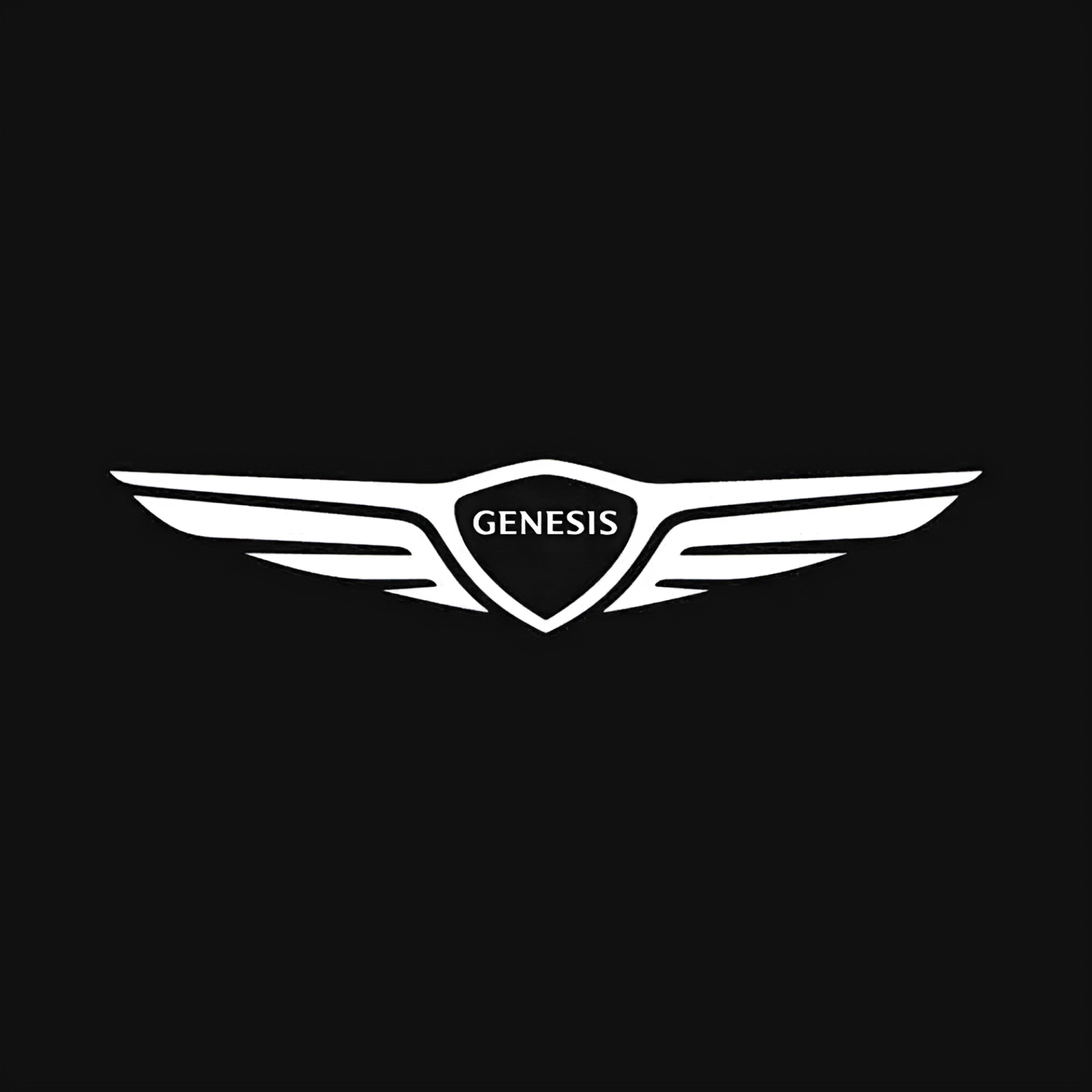 My Genesis1.1.4 �������ɹ���