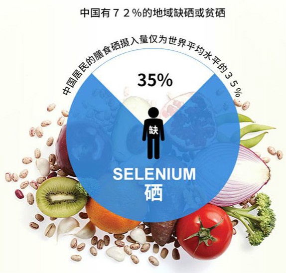 珠子云计算安卓版钣金展开计算界面截图